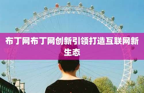 布丁网布丁网创新引领打造互联网新生态