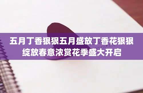 五月丁香狠狠五月盛放丁香花狠狠绽放春意浓赏花季盛大开启