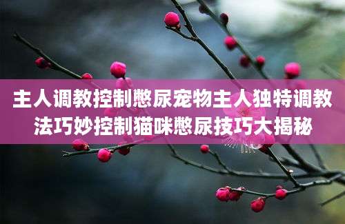 主人调教控制憋尿宠物主人独特调教法巧妙控制猫咪憋尿技巧大揭秘