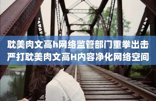 耽美肉文高h网络监管部门重拳出击严打耽美肉文高H内容净化网络空间