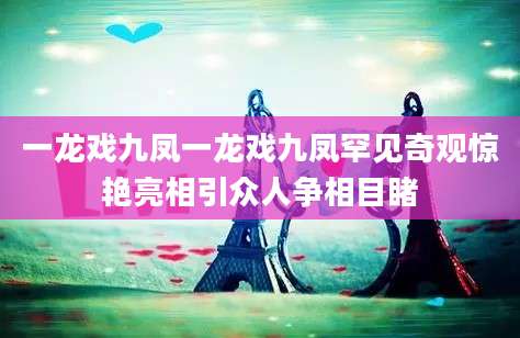一龙戏九凤一龙戏九凤罕见奇观惊艳亮相引众人争相目睹