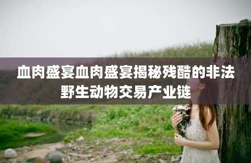 血肉盛宴血肉盛宴揭秘残酷的非法野生动物交易产业链
