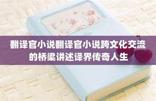 翻译官小说翻译官小说跨文化交流的桥梁讲述译界传奇人生