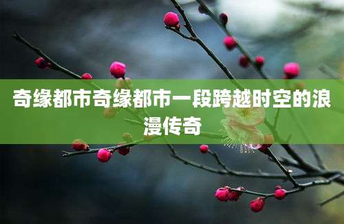 奇缘都市奇缘都市一段跨越时空的浪漫传奇