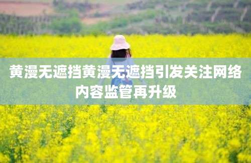 黄漫无遮挡黄漫无遮挡引发关注网络内容监管再升级