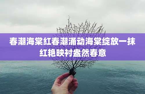 春潮海棠红春潮涌动海棠绽放一抹红艳映衬盎然春意