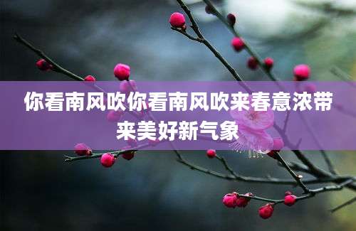 你看南风吹你看南风吹来春意浓带来美好新气象