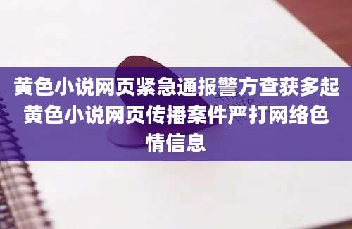 黄色小说网页紧急通报警方查获多起黄色小说网页传播案件严打网络色情信息
