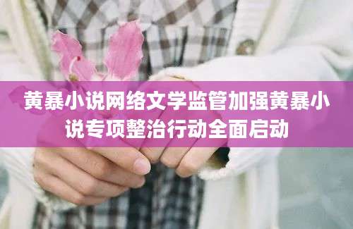 黄暴小说网络文学监管加强黄暴小说专项整治行动全面启动