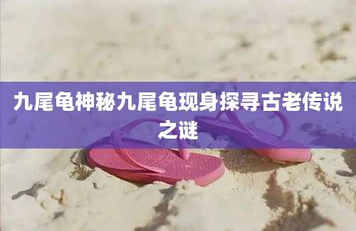 九尾龟神秘九尾龟现身探寻古老传说之谜