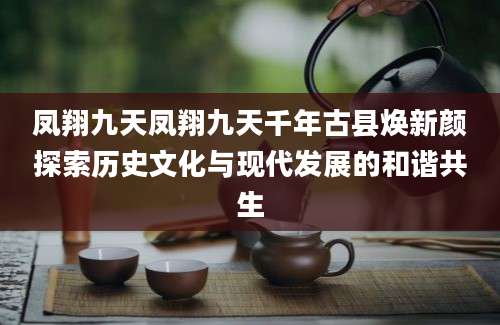 凤翔九天凤翔九天千年古县焕新颜探索历史文化与现代发展的和谐共生