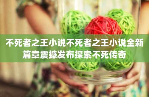 不死者之王小说不死者之王小说全新篇章震撼发布探索不死传奇