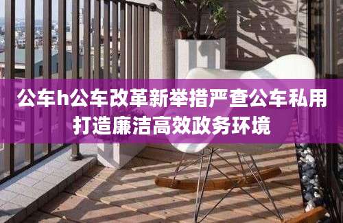 公车h公车改革新举措严查公车私用打造廉洁高效政务环境