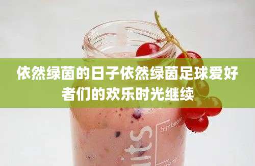 依然绿茵的日子依然绿茵足球爱好者们的欢乐时光继续