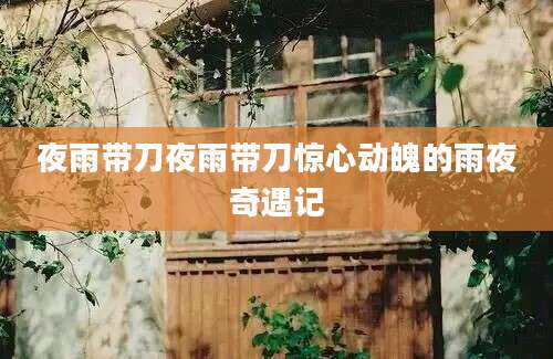 夜雨带刀夜雨带刀惊心动魄的雨夜奇遇记