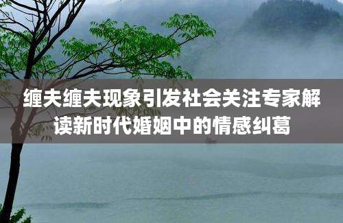 缠夫缠夫现象引发社会关注专家解读新时代婚姻中的情感纠葛