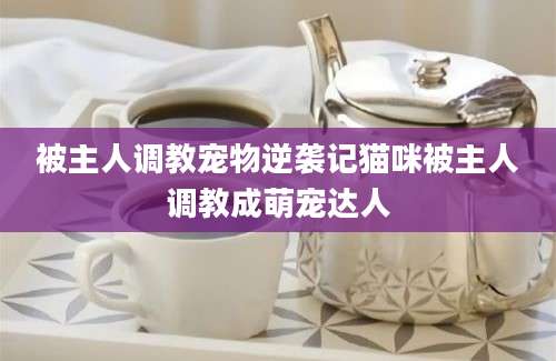 被主人调教宠物逆袭记猫咪被主人调教成萌宠达人