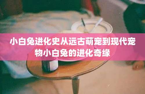 小白兔进化史从远古萌宠到现代宠物小白兔的进化奇缘