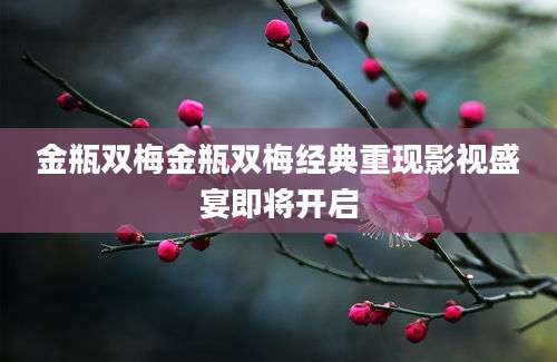 金瓶双梅金瓶双梅经典重现影视盛宴即将开启