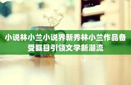 小说林小兰小说界新秀林小兰作品备受瞩目引领文学新潮流
