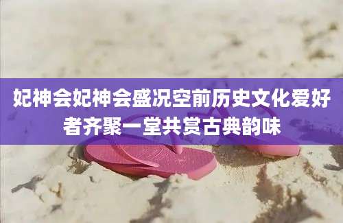 妃神会妃神会盛况空前历史文化爱好者齐聚一堂共赏古典韵味