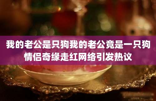 我的老公是只狗我的老公竟是一只狗情侣奇缘走红网络引发热议