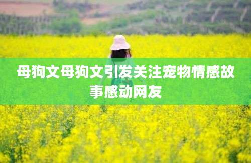 母狗文母狗文引发关注宠物情感故事感动网友