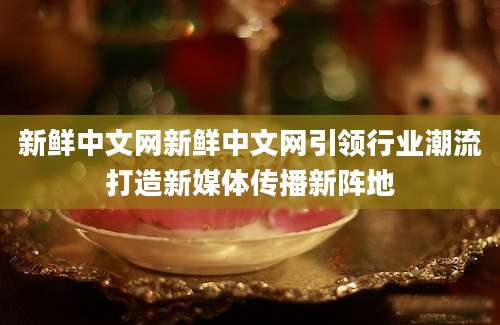 新鲜中文网新鲜中文网引领行业潮流打造新媒体传播新阵地