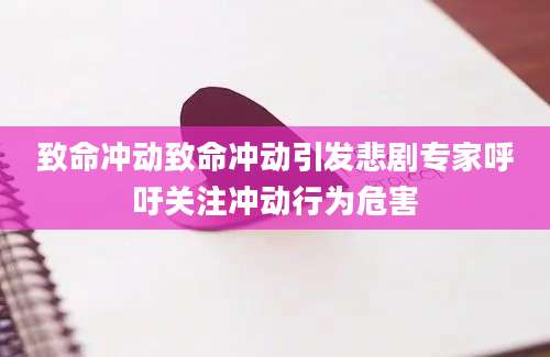 致命冲动致命冲动引发悲剧专家呼吁关注冲动行为危害
