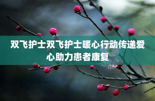 双飞护士双飞护士暖心行动传递爱心助力患者康复