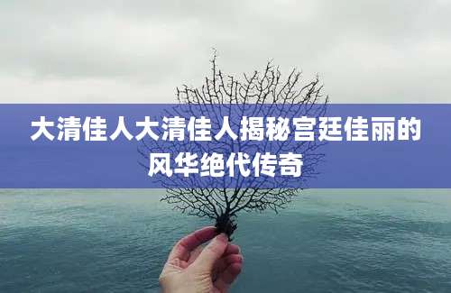 大清佳人大清佳人揭秘宫廷佳丽的风华绝代传奇