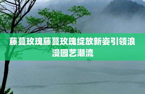 藤蔓玫瑰藤蔓玫瑰绽放新姿引领浪漫园艺潮流