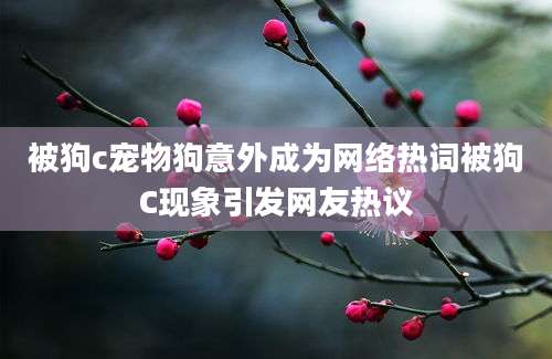 被狗c宠物狗意外成为网络热词被狗C现象引发网友热议