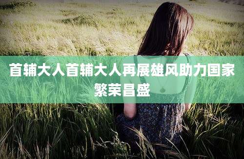 首辅大人首辅大人再展雄风助力国家繁荣昌盛