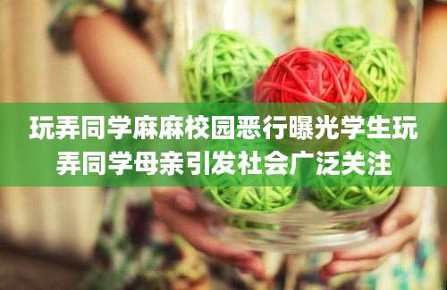 玩弄同学麻麻校园恶行曝光学生玩弄同学母亲引发社会广泛关注
