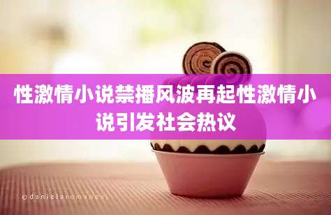 性激情小说禁播风波再起性激情小说引发社会热议