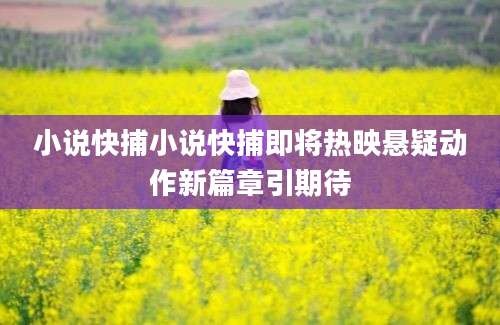 小说快捕小说快捕即将热映悬疑动作新篇章引期待