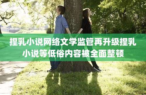 捏乳小说网络文学监管再升级捏乳小说等低俗内容被全面整顿