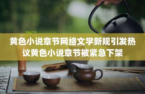 黄色小说章节网络文学新规引发热议黄色小说章节被紧急下架