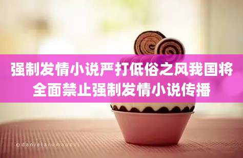 强制发情小说严打低俗之风我国将全面禁止强制发情小说传播