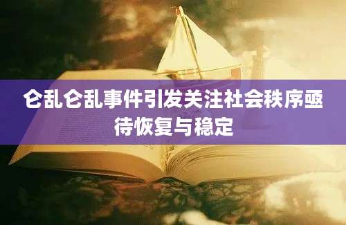 仑乱仑乱事件引发关注社会秩序亟待恢复与稳定