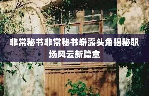 非常秘书非常秘书崭露头角揭秘职场风云新篇章