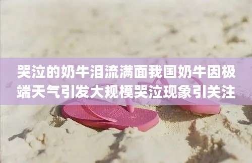 哭泣的奶牛泪流满面我国奶牛因极端天气引发大规模哭泣现象引关注
