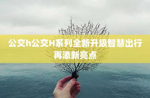 公交h公交H系列全新升级智慧出行再添新亮点