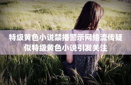 特级黄色小说禁播警示网络流传疑似特级黄色小说引发关注