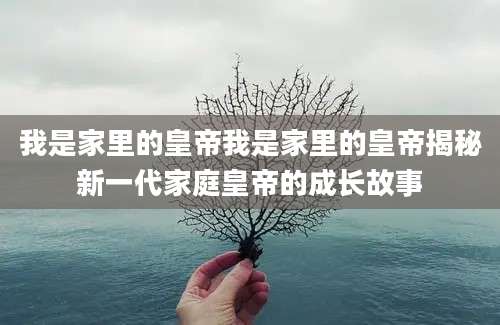 我是家里的皇帝我是家里的皇帝揭秘新一代家庭皇帝的成长故事