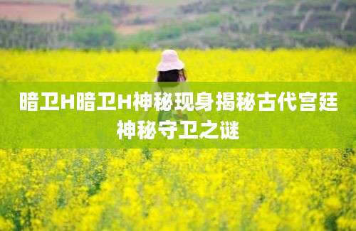 暗卫H暗卫H神秘现身揭秘古代宫廷神秘守卫之谜