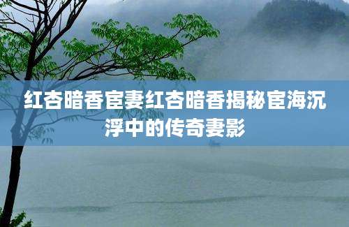 红杏暗香宦妻红杏暗香揭秘宦海沉浮中的传奇妻影