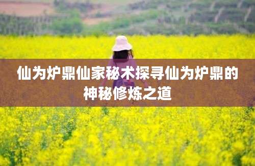 仙为炉鼎仙家秘术探寻仙为炉鼎的神秘修炼之道