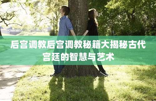 后宫调教后宫调教秘籍大揭秘古代宫廷的智慧与艺术